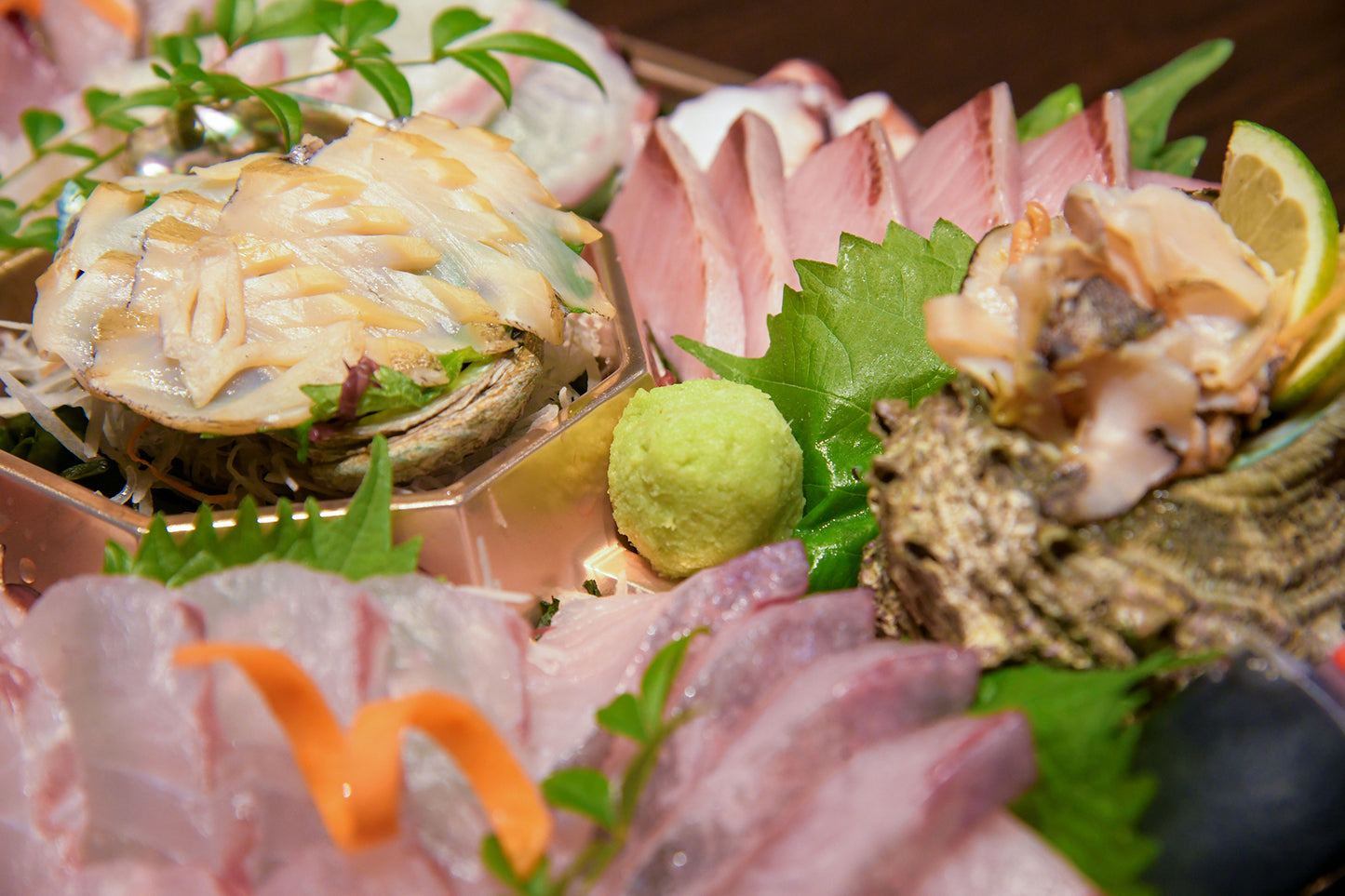 上天草産お刺身盛り合わせ<br>10種 600g【送料別】